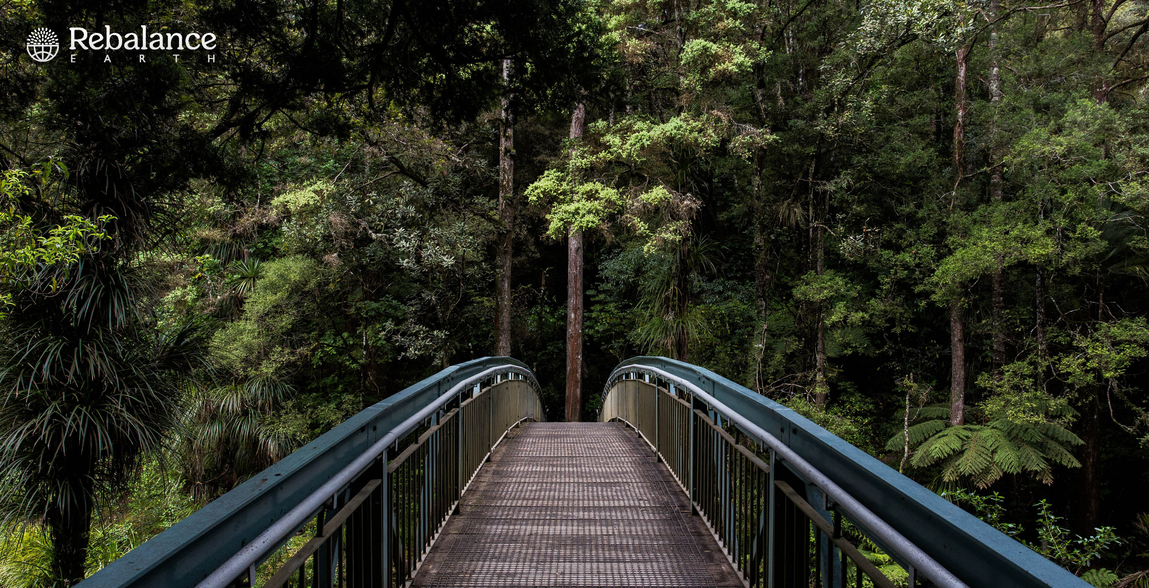 Origin Story Interview W/ Walid Al Saqqaf, Rebalance Earth